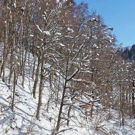 Hotel Grand Tirolia - Member Of Hommage Luxury Collection