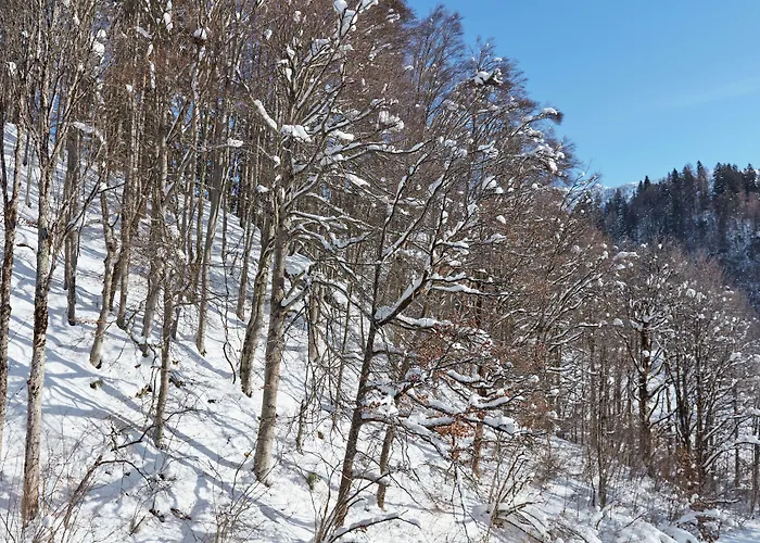 Hotel Grand Tirolia - Member Of Hommage Luxury Collection